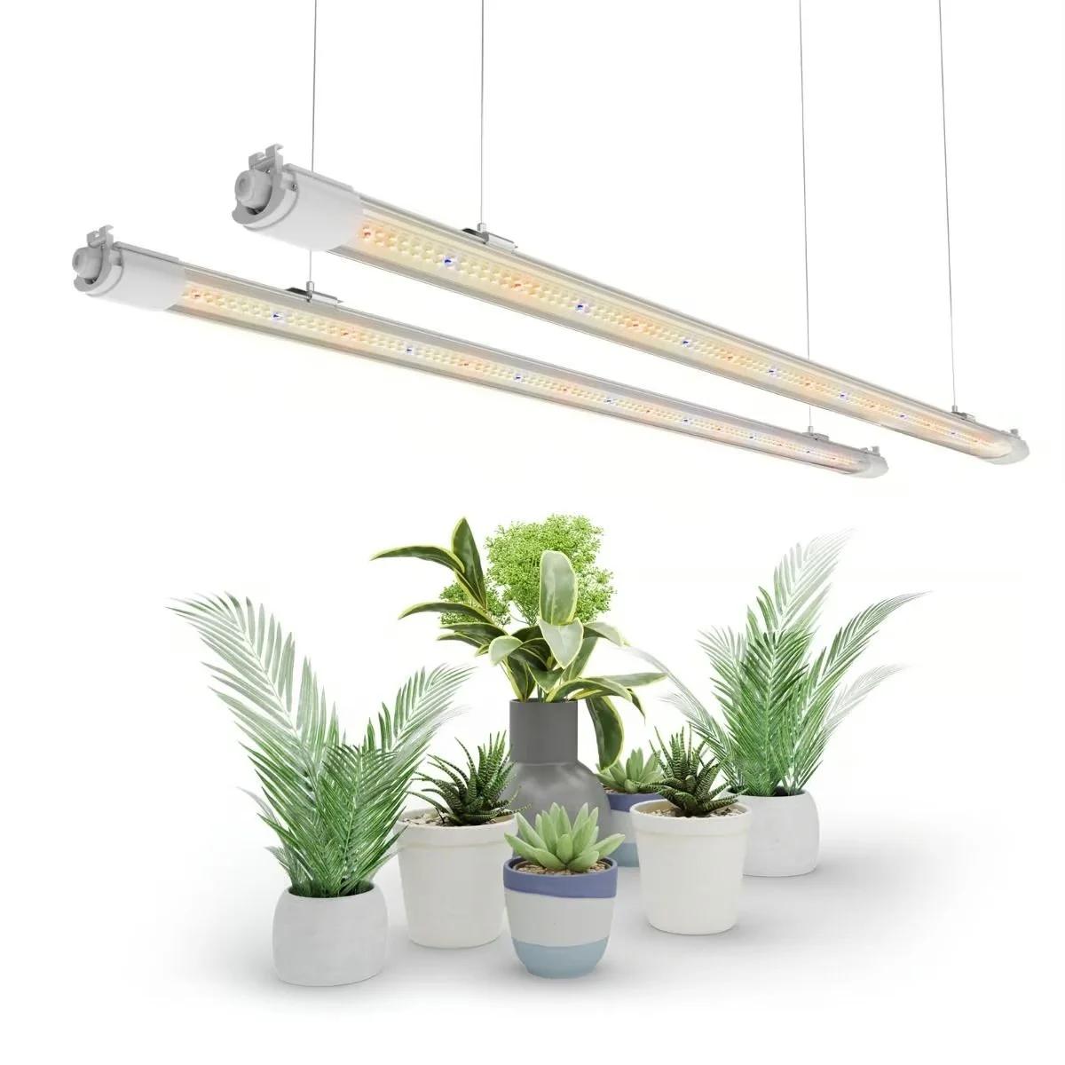 VG80 Fide, Mikro Yeşillik ve Klonlama LED Lambası