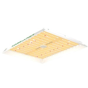 Mars Hydro TS1000 bitki yetiştirme LED lambası