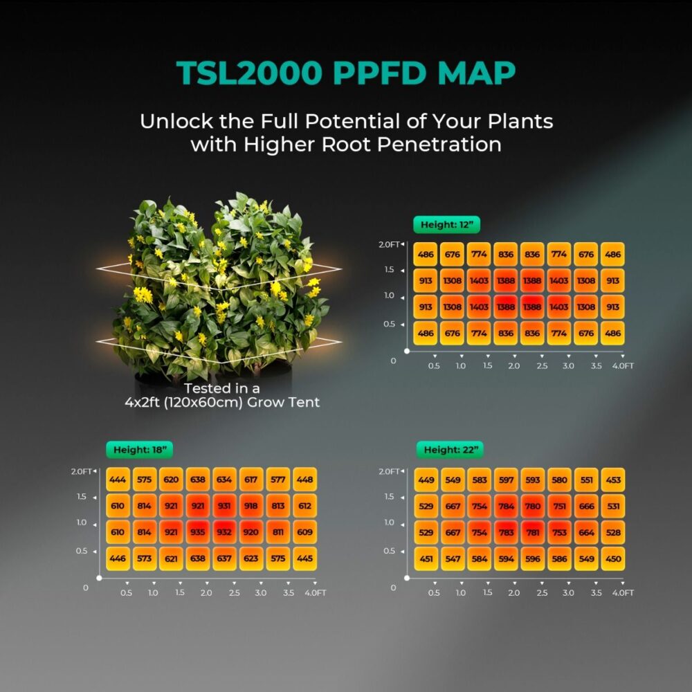 Mars Hydro TSL2000 PPFD haritası ve ışık dağılımı