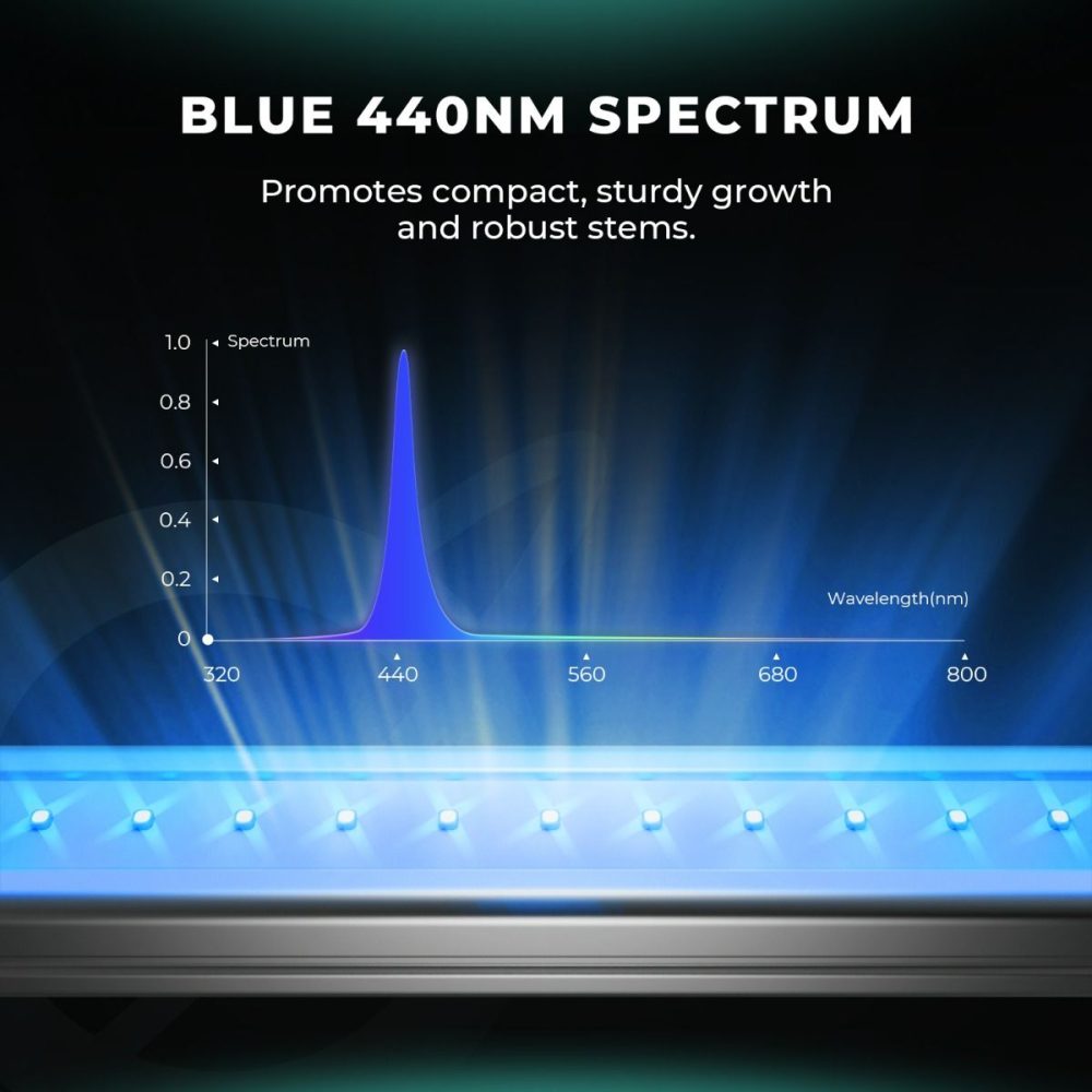 Mars Hydro ADlite RB30 Blue 440nm spektrum bitki yetiştirme LED lambası mavi ışık desteği